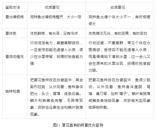 色翁荡息又大又硬又粗又爽