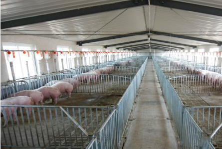 色翁荡息又大又硬又粗又爽