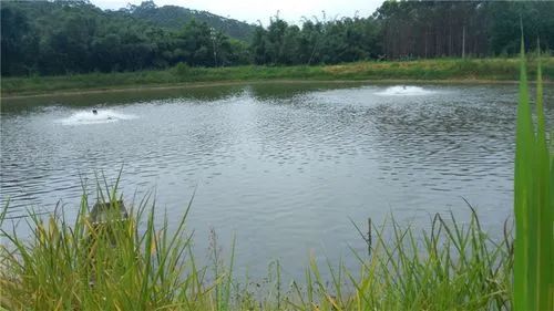 色翁荡息又大又硬又粗又爽