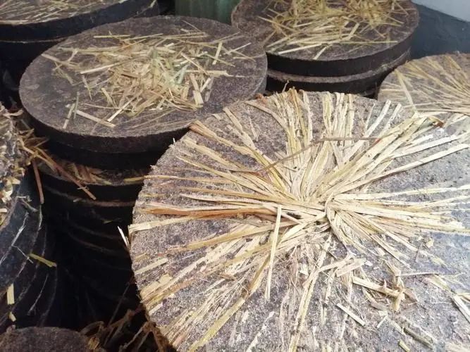 色翁荡息又大又硬又粗又爽