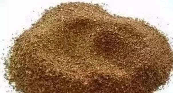 色翁荡息又大又硬又粗又爽