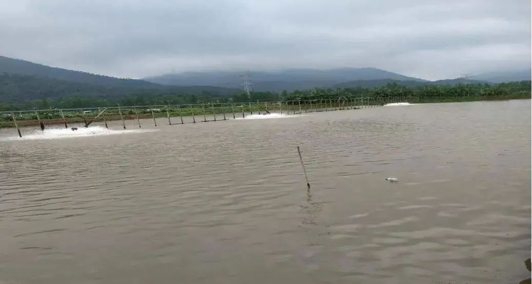 色翁荡息又大又硬又粗又爽