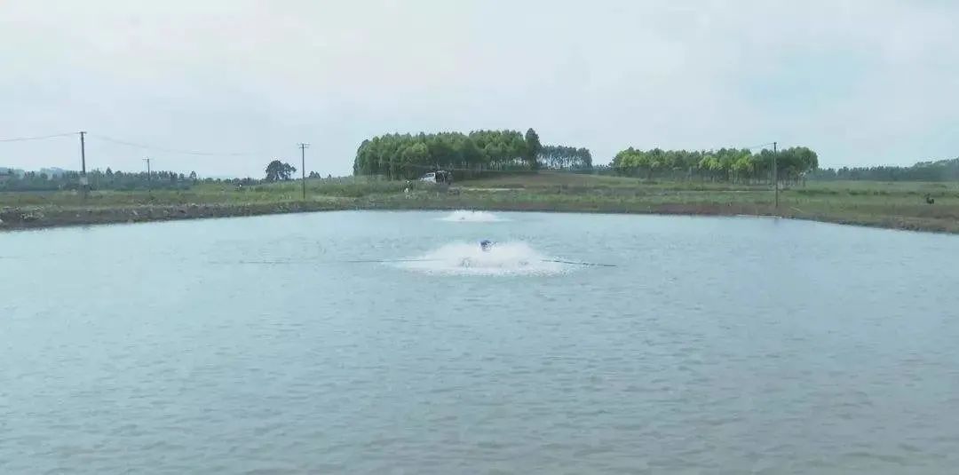 色翁荡息又大又硬又粗又爽