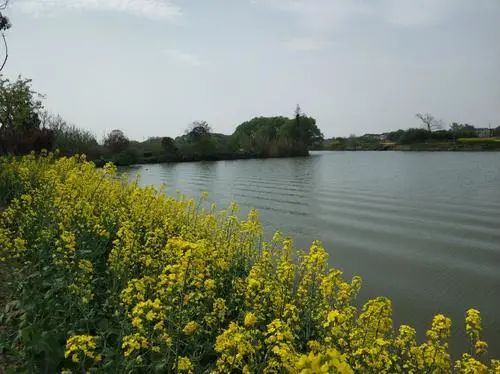 色翁荡息又大又硬又粗又爽