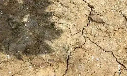 色翁荡息又大又硬又粗又爽