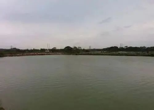 色翁荡息又大又硬又粗又爽