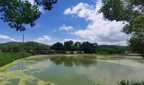 色翁荡息又大又硬又粗又爽