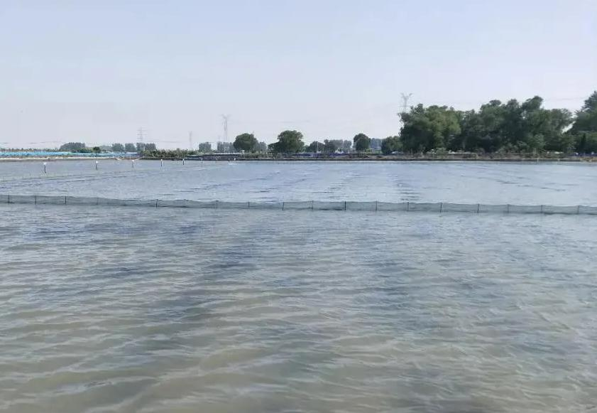 色翁荡息又大又硬又粗又爽