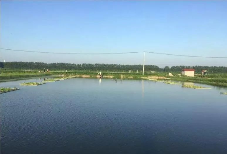 色翁荡息又大又硬又粗又爽