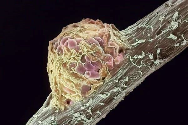 色翁荡息又大又硬又粗又爽