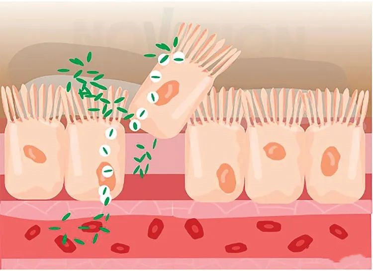 色翁荡息又大又硬又粗又爽