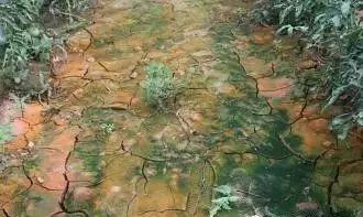 色翁荡息又大又硬又粗又爽