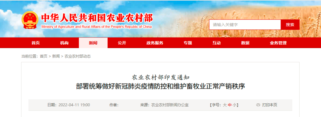 色翁荡息又大又硬又粗又爽