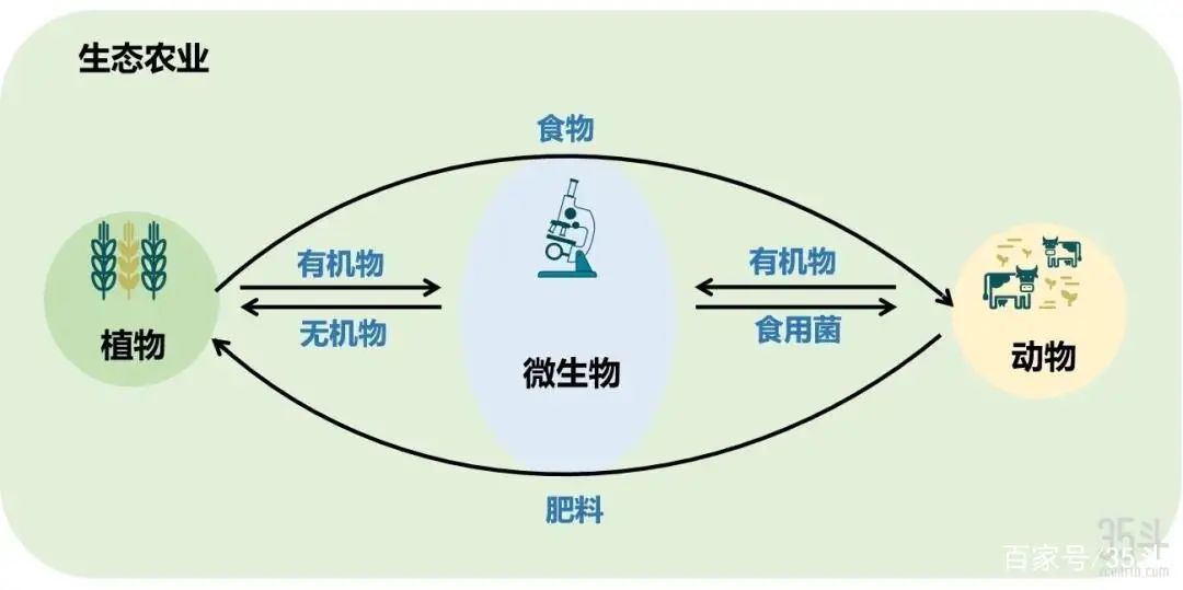 色翁荡息又大又硬又粗又爽