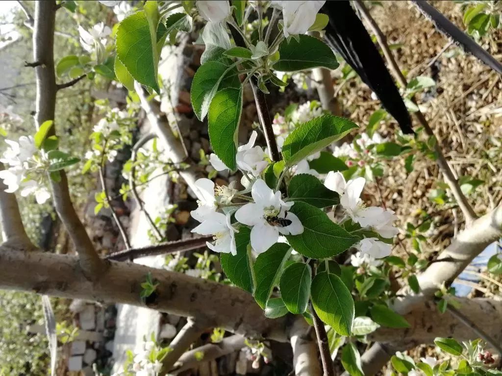 色翁荡息又大又硬又粗又爽