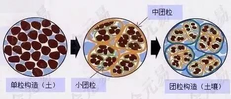 色翁荡息又大又硬又粗又爽