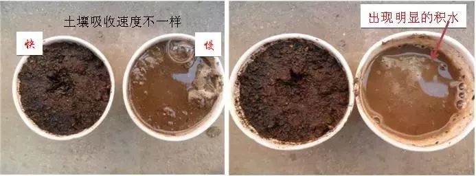 色翁荡息又大又硬又粗又爽