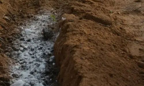 色翁荡息又大又硬又粗又爽