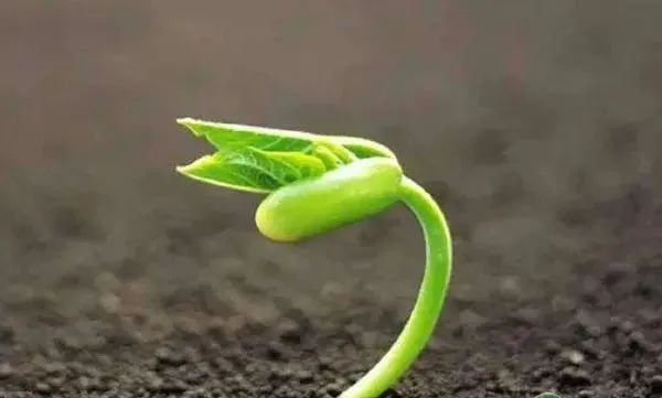 色翁荡息又大又硬又粗又爽