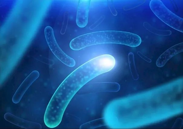 色翁荡息又大又硬又粗又爽