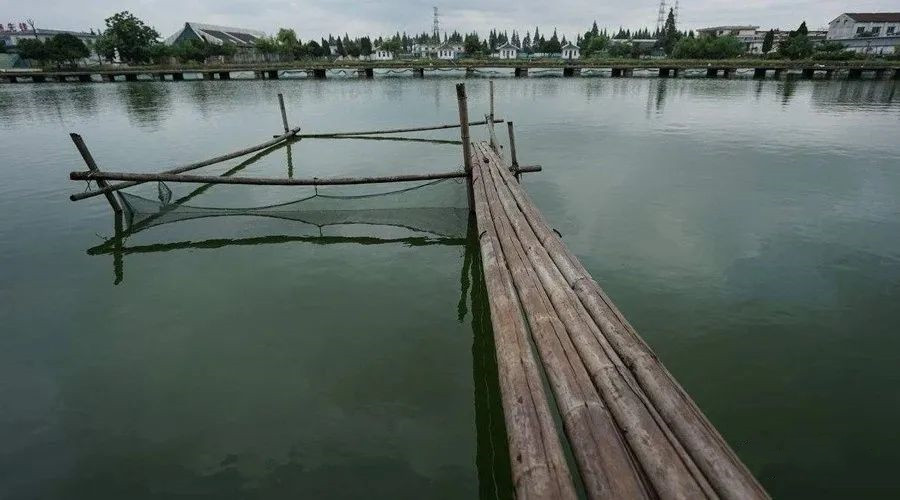 色翁荡息又大又硬又粗又爽