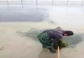 色翁荡息又大又硬又粗又爽