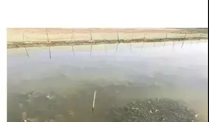 色翁荡息又大又硬又粗又爽