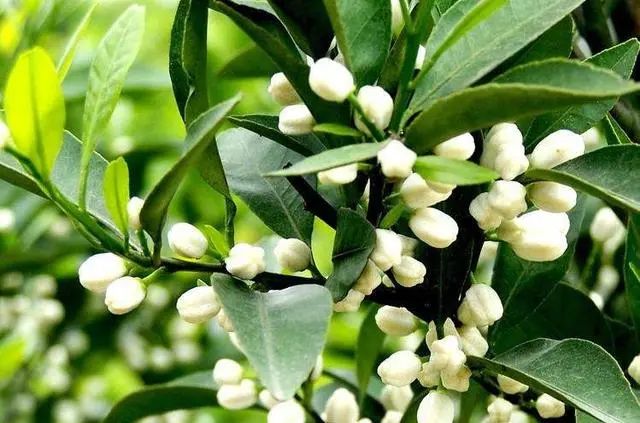 色翁荡息又大又硬又粗又爽