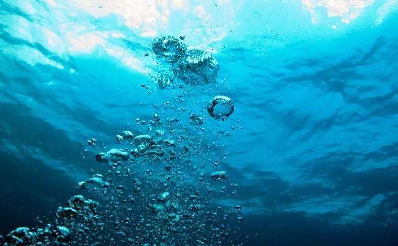 色翁荡息又大又硬又粗又爽