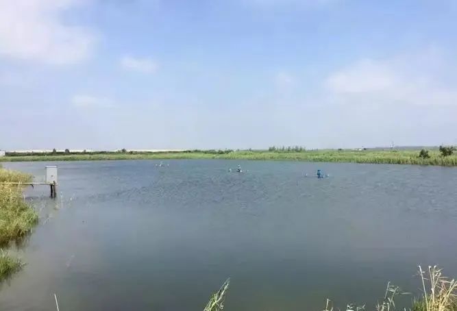 色翁荡息又大又硬又粗又爽