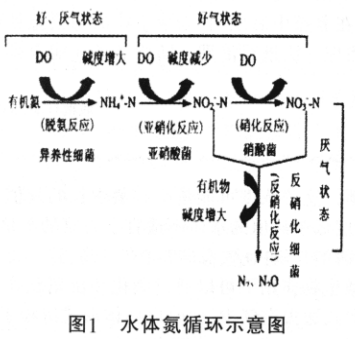 色翁荡息又大又硬又粗又爽