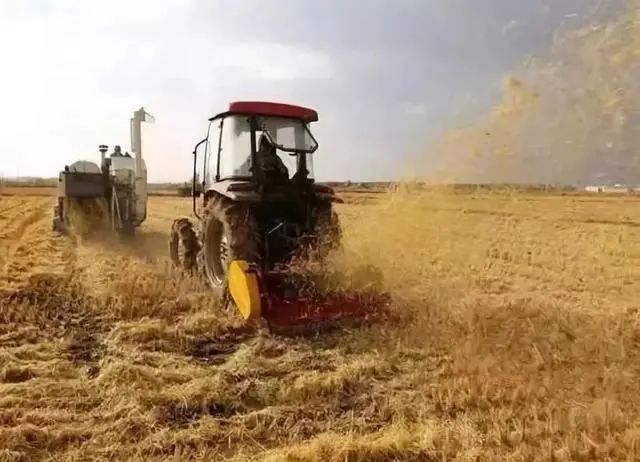 色翁荡息又大又硬又粗又爽