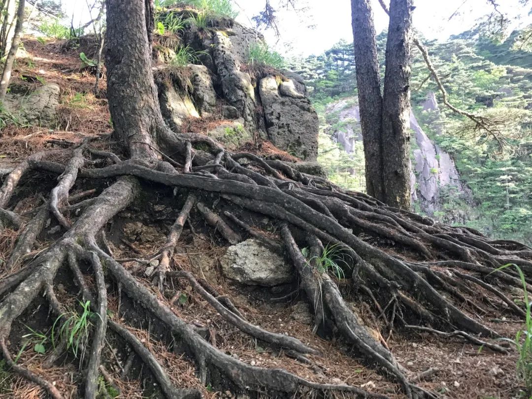 色翁荡息又大又硬又粗又爽