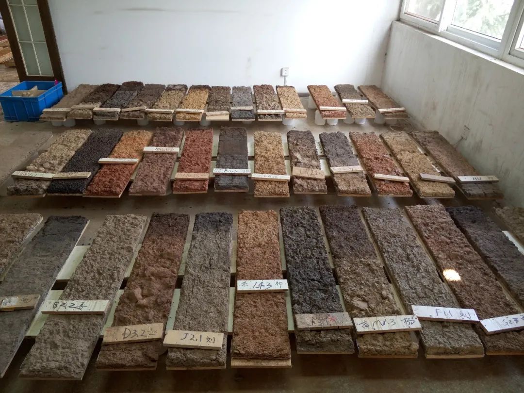 色翁荡息又大又硬又粗又爽