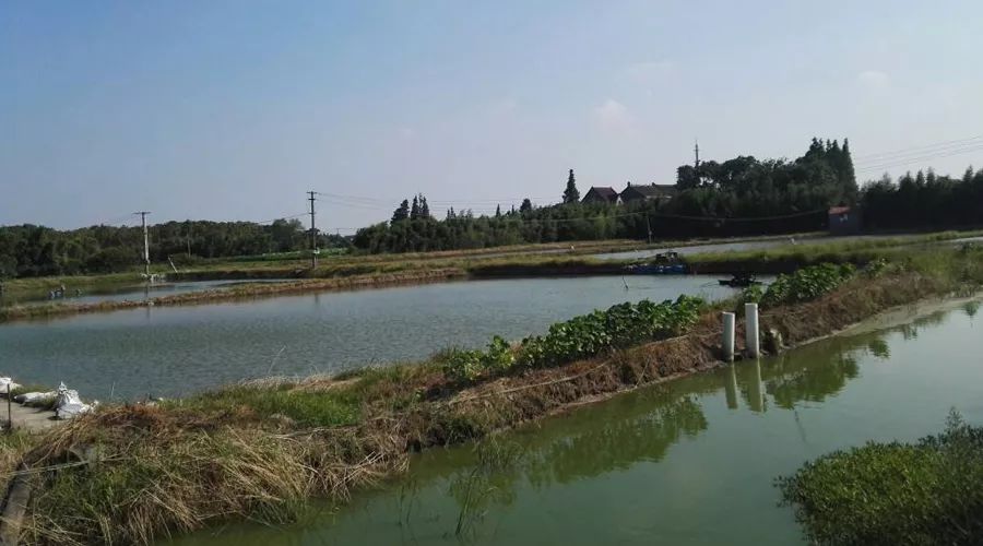 色翁荡息又大又硬又粗又爽