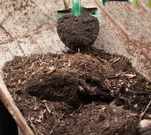 色翁荡息又大又硬又粗又爽