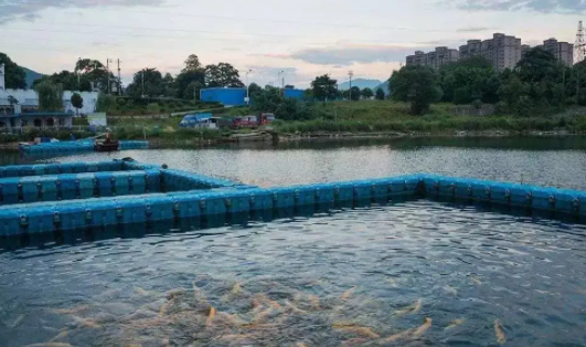 色翁荡息又大又硬又粗又爽