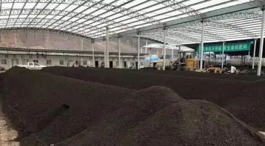 色翁荡息又大又硬又粗又爽