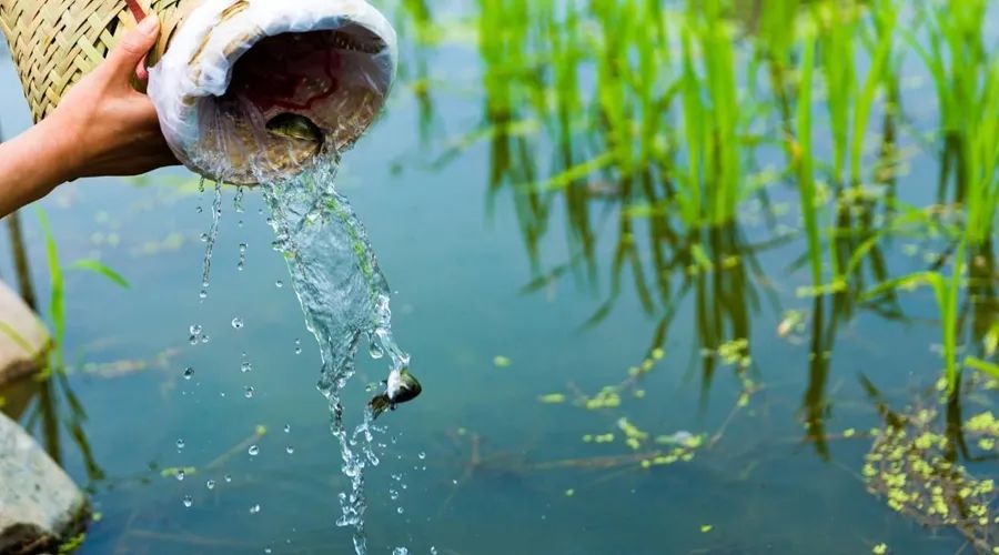 色翁荡息又大又硬又粗又爽