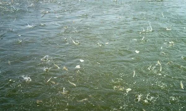 色翁荡息又大又硬又粗又爽