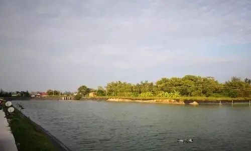 色翁荡息又大又硬又粗又爽