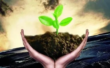 色翁荡息又大又硬又粗又爽