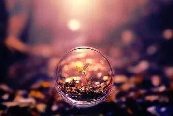 色翁荡息又大又硬又粗又爽