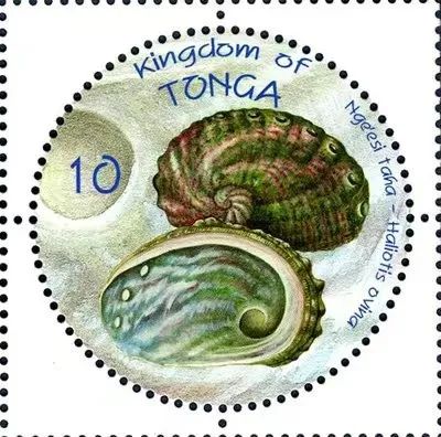 色翁荡息又大又硬又粗又爽