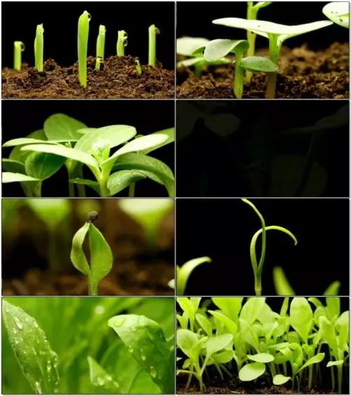 色翁荡息又大又硬又粗又爽