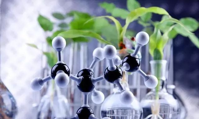 色翁荡息又大又硬又粗又爽