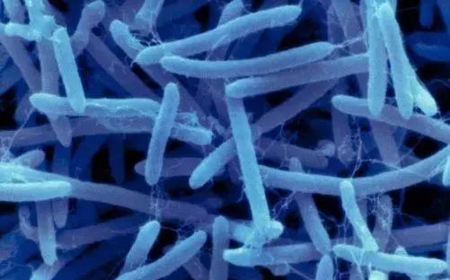 色翁荡息又大又硬又粗又爽