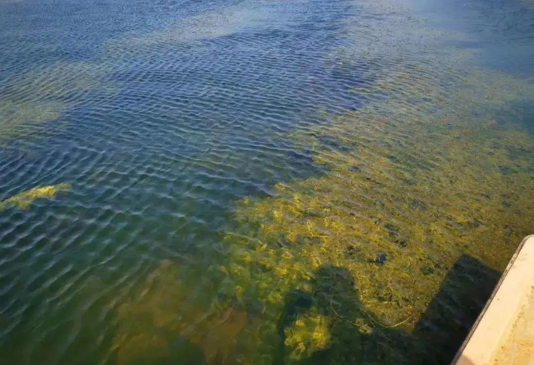 色翁荡息又大又硬又粗又爽