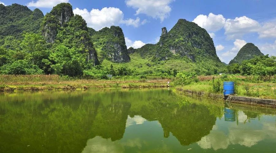 色翁荡息又大又硬又粗又爽