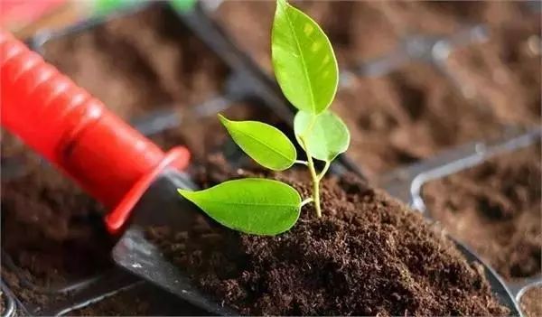 色翁荡息又大又硬又粗又爽